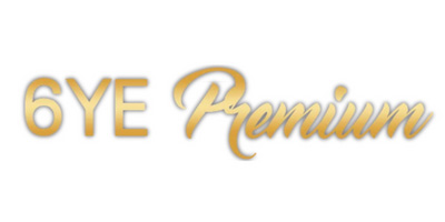 6ye doll logo