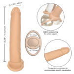 Accommodator Dual Penetrator Ivory
