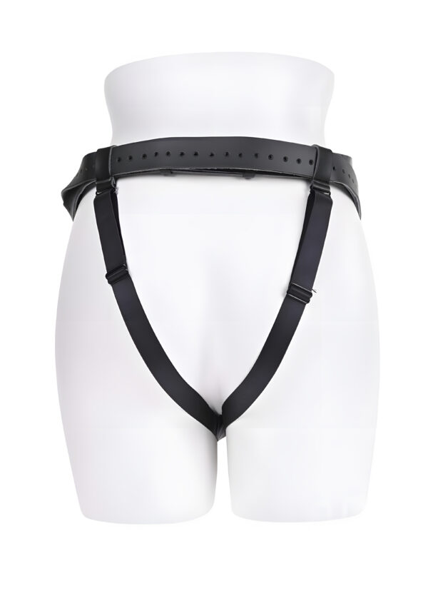 Aurora High Waisted Harness