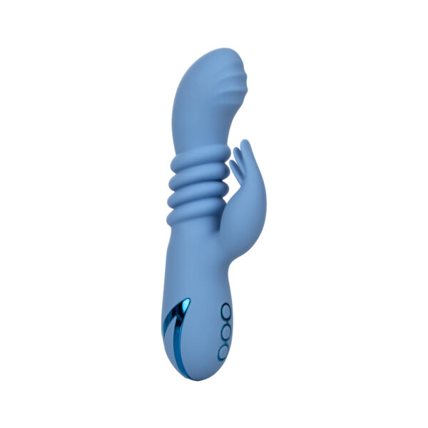 California Dreaming Santa Cruz 'Coaster