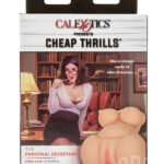 Cheap Thrills Personal Secretary