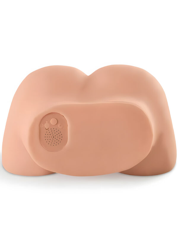 Dirty Talk Interactive Pussy and Ass