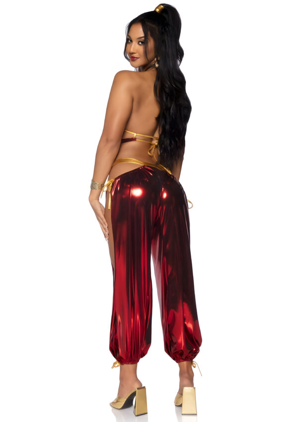 Medium Ruby Desert Princess Costume