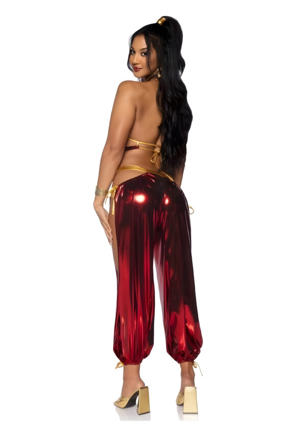 Medium Ruby Desert Princess Costume