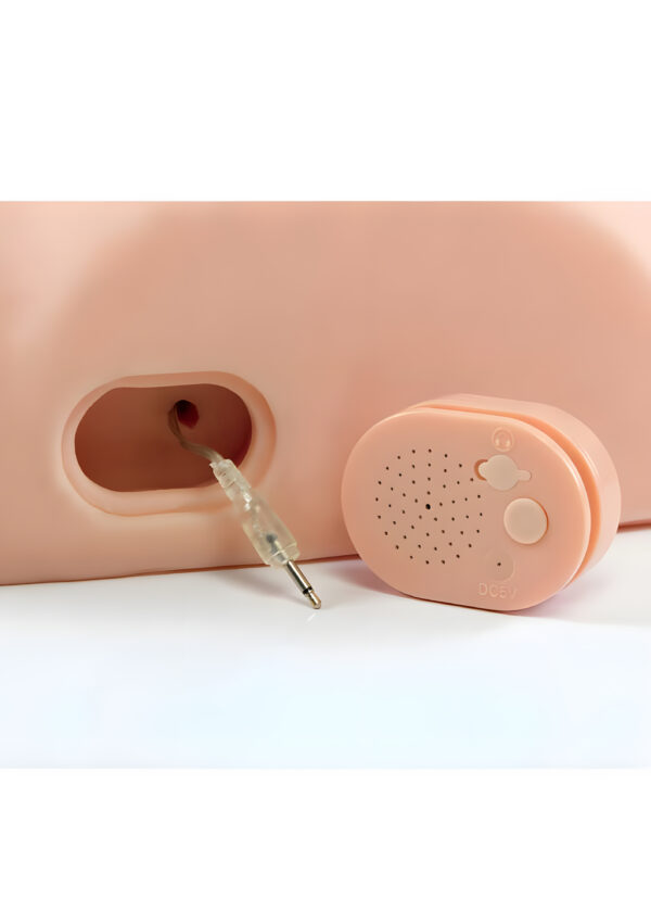 Pdx Male Interactive Masturbator