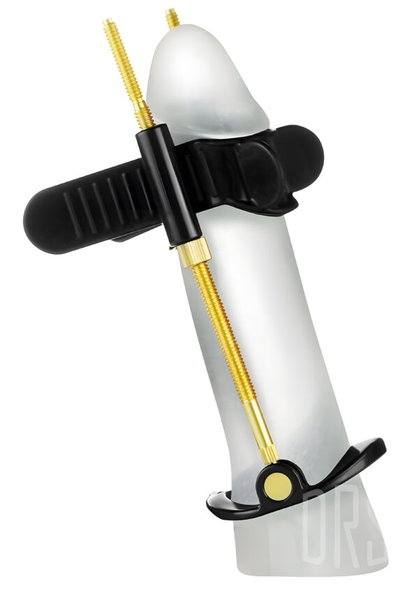 PT 1000 Male Training System