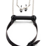 Silicone Bit Gag With Nipple Clamps