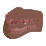 Skyler Nicole Ass and Vagina Stroker