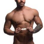 Slave Chain Nipple Clamps